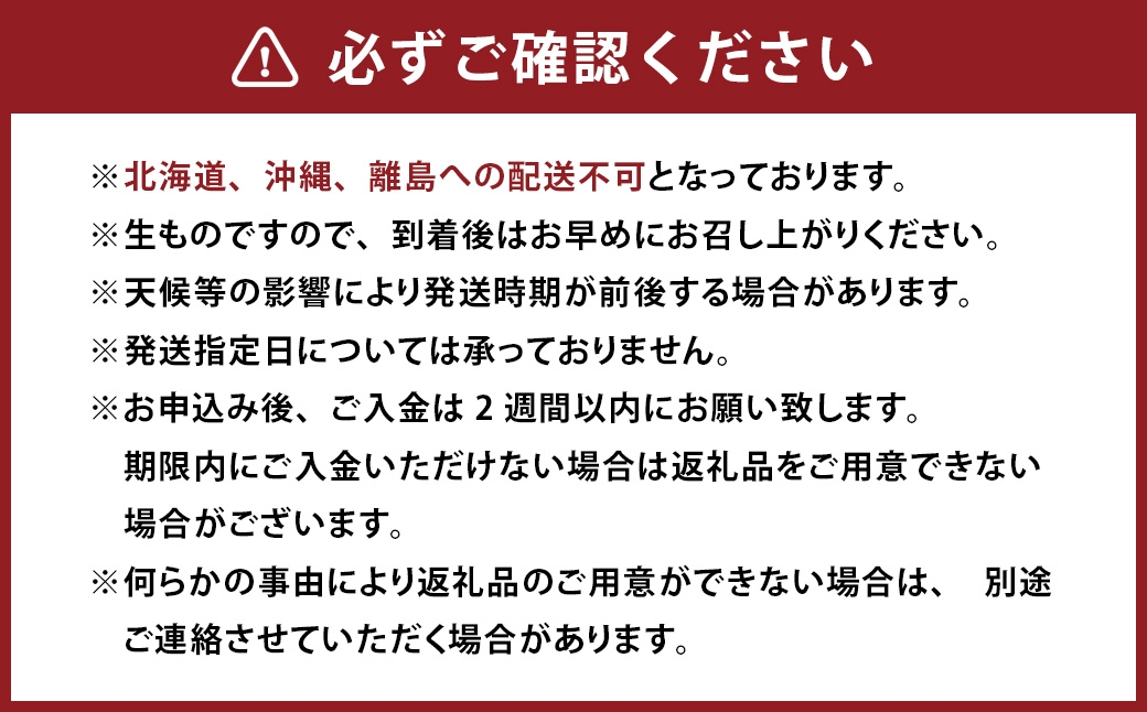 【 2回定期便 】 中央市産 とうもろこし、もも