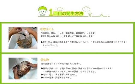 しいたけ栽培キット にょきっと 1個セット