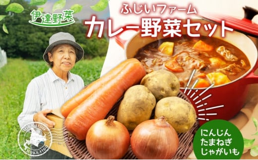 [№5525-0489]北海道産 カレー 野菜 セット じゃがいも とうや メークイン 北あかり 玉ねぎ 人参 ジャガイモ 馬鈴薯 ポテト 玉葱 タマネギ ニンジン 旬 産地直送 野菜 農作物 ふじいファーム 送料無料