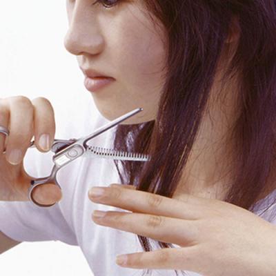 ふるさと納税 関市 匠の技 ステンレス スキハサミ(散髪用はさみ) G-5002 |  | 01