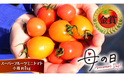 【母の日専用】 スーパーフルーツミニトマト 小箱 約1kg ×1箱 《5月4日～10日お届け メッセージカード付》 ミニトマト フルーツトマト ブランドトマト 野菜 母の日 ギフト 贈り物 プレゼント 感謝 記念日 [BC097sa]