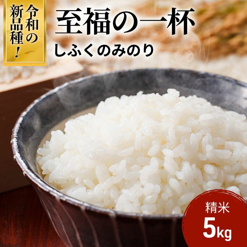【ふるさと納税】至福の一杯 5kg 令和7年産 米 お米 新米 ご飯 飯 精米 津市 三重県 新品種