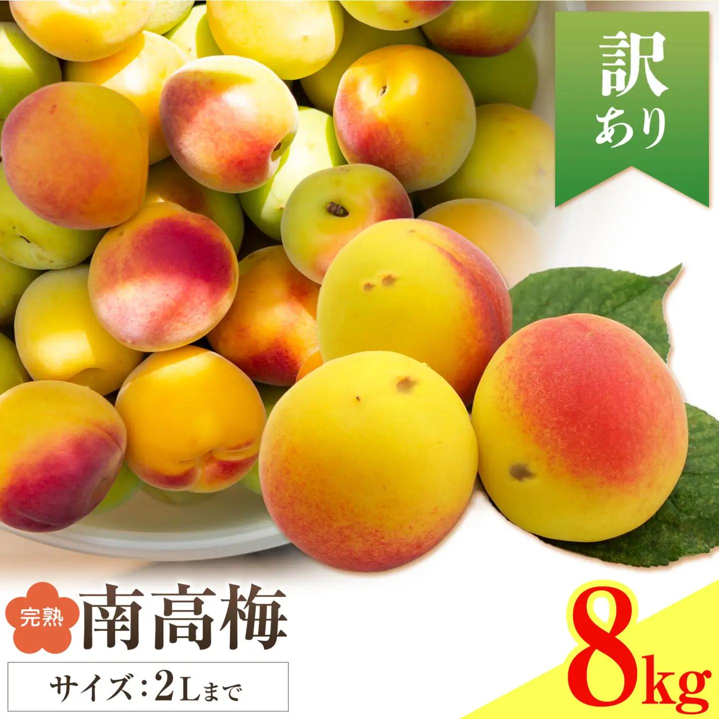 紀州南高梅 訳あり(完熟) 2L 8kg 農業福祉研究機構《6月下旬-7月上旬頃出荷》