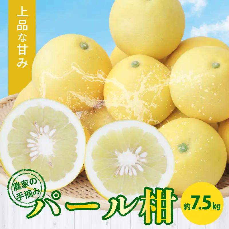S040-022A_農家の手摘み パール柑 約7.5kg〈先行予約〉 先行予約 柑橘 約 7.5kg 天草産 果物 フルーツ 真珠 手摘み 固め 食感 食べ応え 果肉 上品 甘み おいしい おすすめ 人気 予約受付 常温 お取り寄せ お取り寄せフルーツ 熊本県 天草市 送料無料