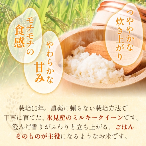 令和7年産 富山県産 ミルキークイーン はさがけ米 無洗米 5kg 富山県 氷見市 米 ブランド米