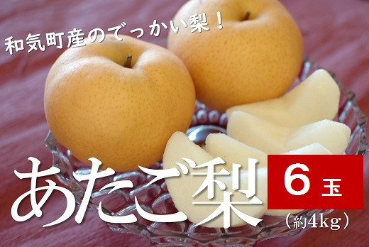 
                  【2026年発送】 梨（あたご梨） 約4kg 6玉（大玉） 岡山県産 なし フルーツ 産地直送 送料無料 行-9
                