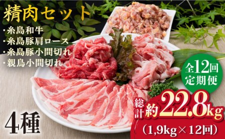 【全12回定期便】牛肉 豚肉 鶏肉 日常使いの精肉セット 1,930g 4-5人前 4種 糸島市/糸島ミートデリ工房[ACA199]