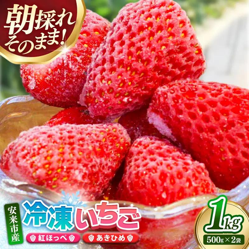 冷凍いちご （ヘタカット済み 500gの小分け袋 x 2個入り）【果物 フルーツ 紅ほっぺ あきひめ】
