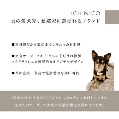 ふるさと納税 千歳市 ICHINICOオンラインショップ お仕立て券10,000円分 |  | 02