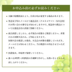 【定期便 全2回／2026年9・10月発送】 岡山県産シャインマスカット 晴王 1房 約750g  2回定期便　９月・１０月に１回づつお届け　種無し 皮ごと食べる 旬の美味しさ　フレッシュ 先行予約　