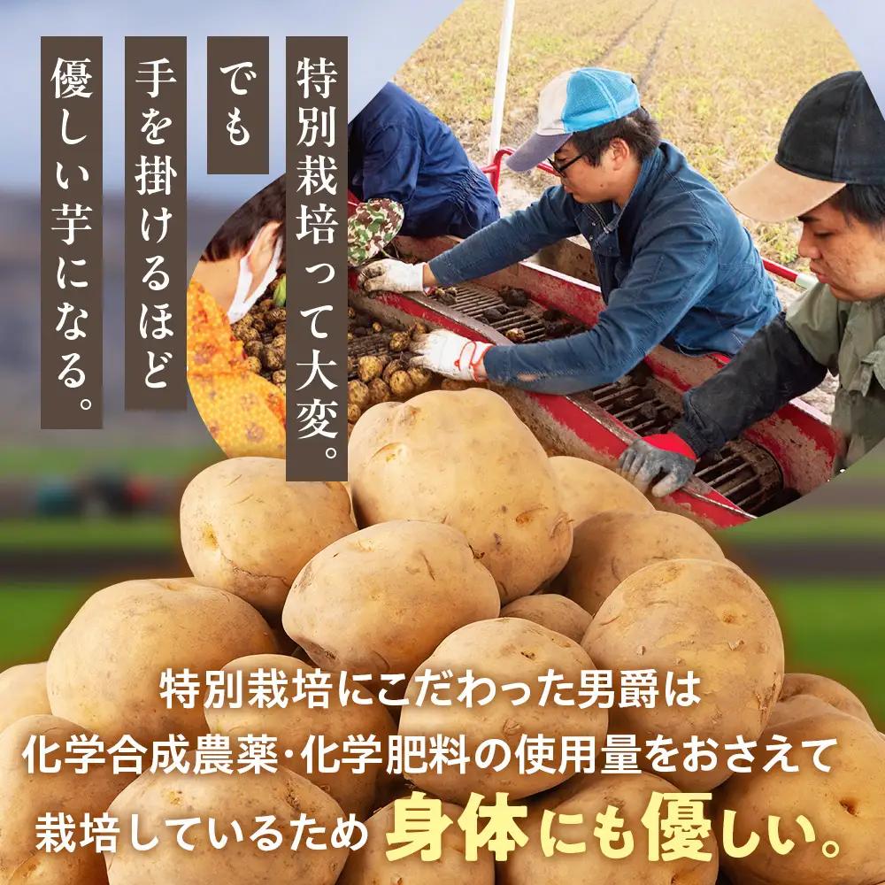 【先行受付】R8年産 特別栽培（男爵）じゃがいも 20kg  | ジャガイモ 芋 男爵 馬鈴薯 大容量 新鮮 野菜 煮物 カレー シチュー ポテト 保存 特産 産地直送 北海道 津別町 送料無料