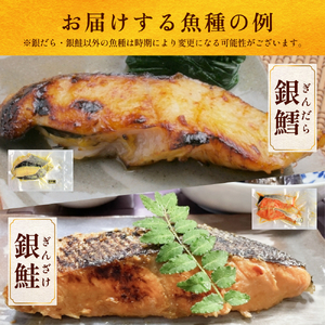 銀だら 銀鮭 西京漬 7種 セット 1.19kg 西京漬け