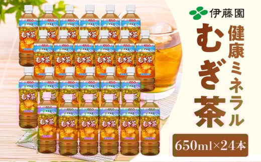 定期便 毎月 全3回 健康ミネラル麦茶 650ml×24本 １ケース 3ヶ月定期便
