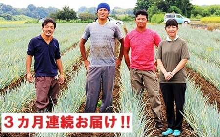 【3ヶ月連続】関田農園の「厳選 長ねぎ（泥付き）」箱3kg×3回 定期便　