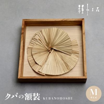 ふるさと納税 伊平屋村 クバの額装KUBANOHOSHI(白木目)Mサイズ
