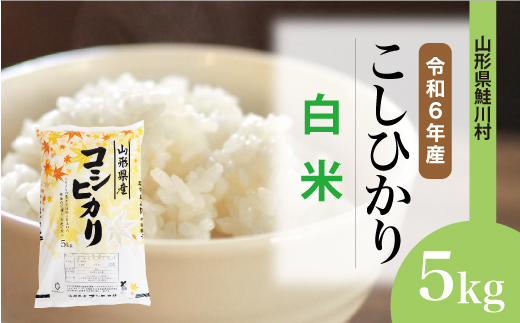 ＜令和6年産米＞約2週間でお届け　コシヒカリ 【白米】 5kg （5kg×1袋） 鮭川村