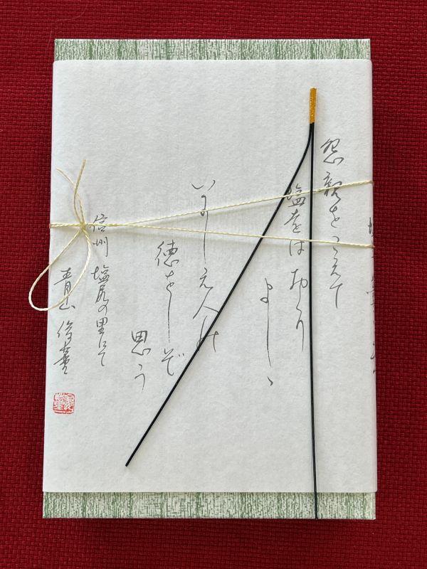 塩羊かん 紙箱入り 900g ｜ 塩羊かん 塩気 和菓子 しっかり食感 人気 塩尻市 長野県