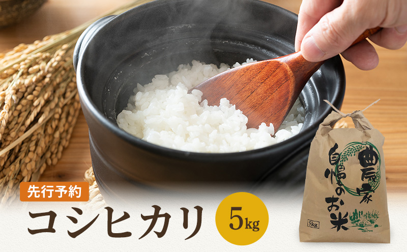 米 令和6年 コシヒカリ 5kg 一等米 お米 おこめ こめ コメ 白米 精米 新米 ご飯 ごはん 山心ファーム 福井県 福井