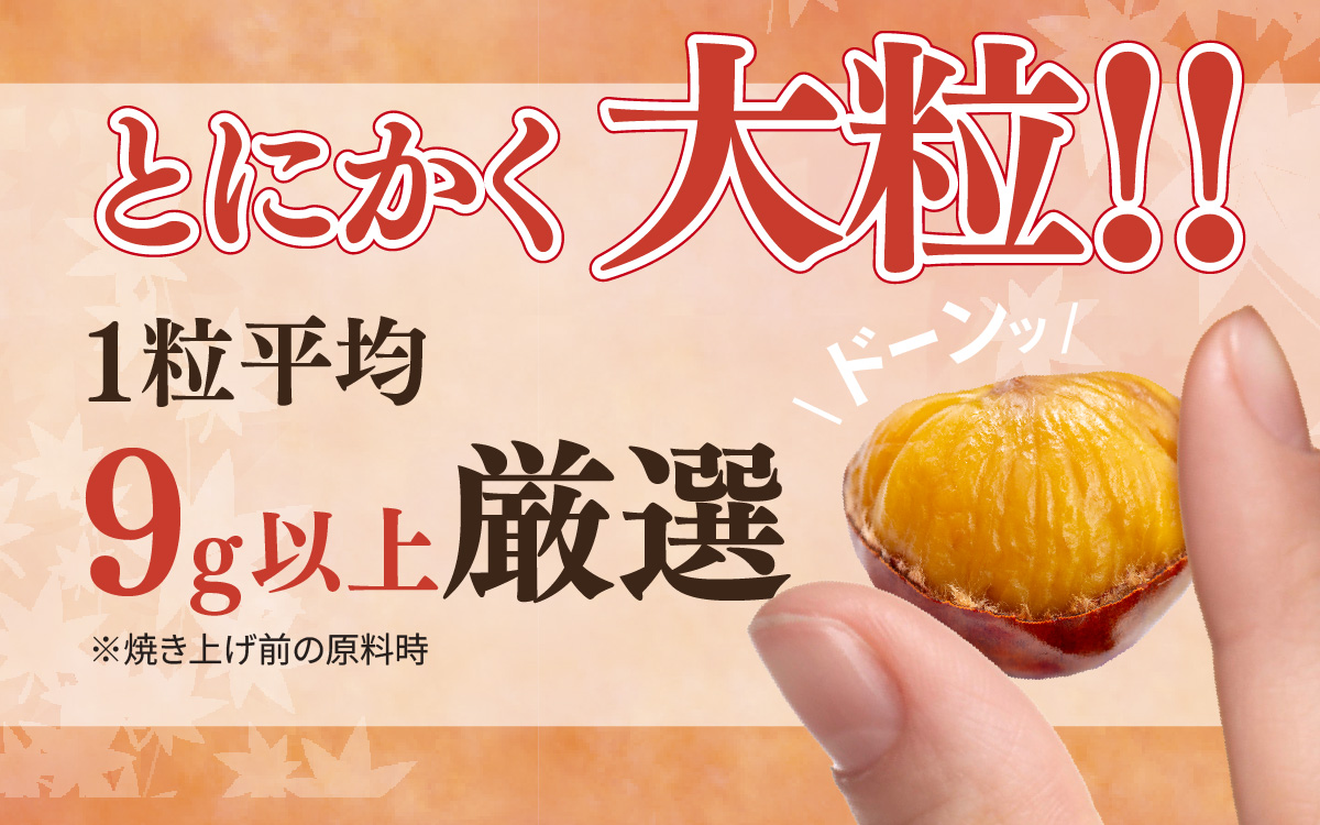 天津甘栗 800g