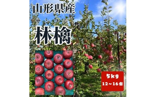 有機肥料栽培　葉とらずサンふじ　上山市産　５ｋｇ　大玉　１２～１６玉　0079-2626
