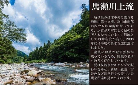 予約受付《減免対象者限定》令和6年 馬瀬川上流鮎年釣証1枚（解禁日令和6年6月22日（土））釣り 釣り券 あゆ アユ 鮎 釣券 釣り 下呂市 2024年【36-3】 【減免】馬瀬川上流鮎年釣証