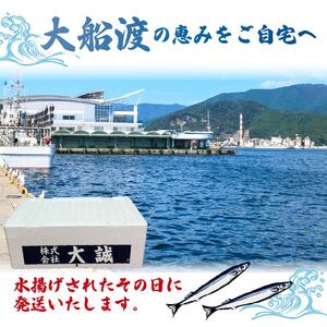 【予約】 さんま 約1kg ＼ 秋刀魚 ／ 冷蔵