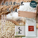 【ふるさと納税】おいしい五箇沃野の米（こしひかり）2.5kgともち麦（六条大麦）300gセット F21R-760