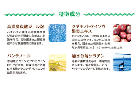 LA SINCIA スパークリングヘッドジェル 120g 2本セット -ヘッドスパ ヘッドマッサージ スッキリ 癒し 洗い流さない ヘッドジェル スパークリング 炭酸 植物成分 無添加 LA SINC