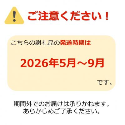 ふるさと納税 長井市 長井特産行者菜約2.4kg(80g×30束)_H221(R8) |  | 01