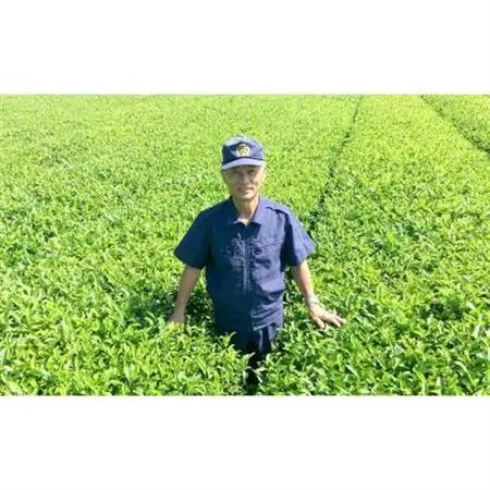 片野坂製茶 知覧茶煎茶なつめ缶ギフト【1185823】
