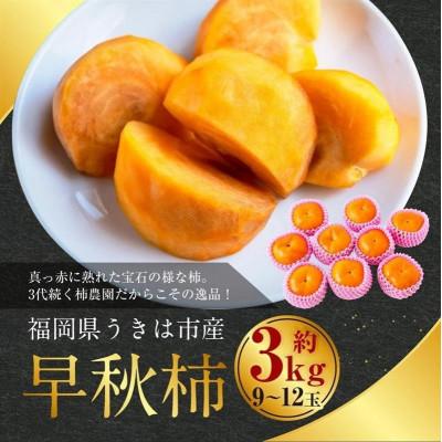 ふるさと納税 うきは市 【先行予約】西見柿農園 早秋柿 9玉から12玉(約3kg)【2026年10月上旬より順次発送予定】 |  | 01
