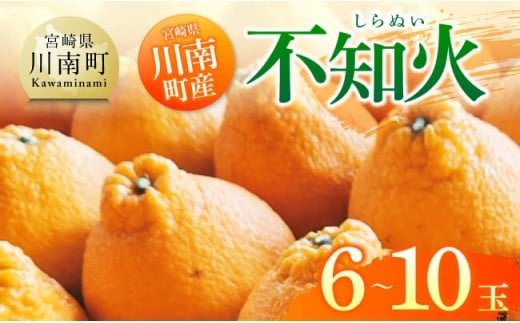 宮崎県川南町産「不知火（しらぬい）」６～１０玉 【 先行予約 季節限定 果物 くだもの フルーツ しらぬい 不知火 みかん 】