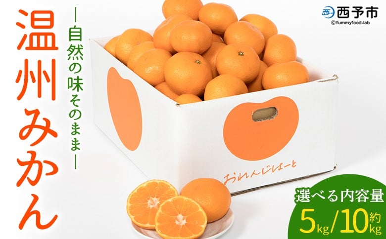 
            ＜温州みかん 約5kg/10kg＞ 選べる 柑橘 みかん ミカン 蜜柑 果物 くだもの フルーツ オレンジ うんしゅうみかん 国産 愛媛県産 特産品 おれんじはーと 食べて応援 西宇和 愛媛県 西予市 【常温】『2025年11月中旬〜2026年1月中旬迄に順次出荷予定』
          