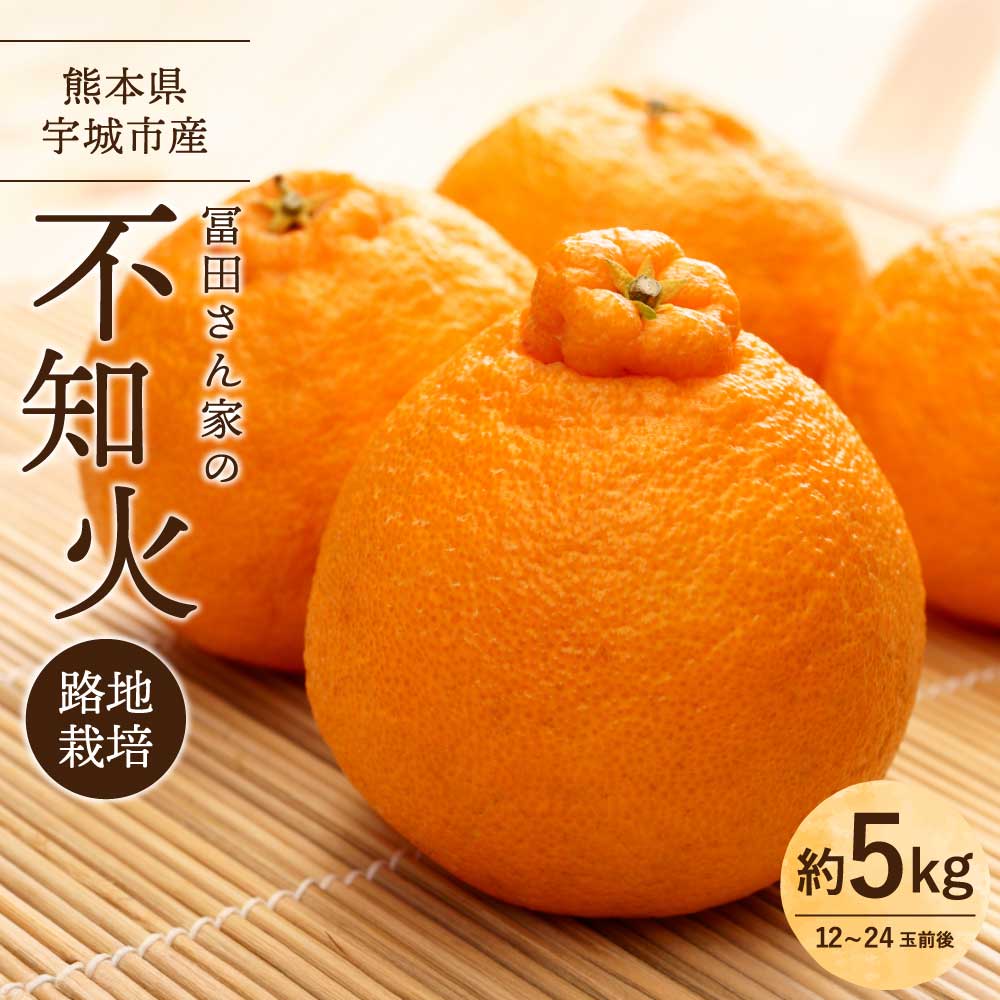 【ふるさと納税】不知火 先行予約 訳あり 冨田さん家の不知火 路地栽培 5kg しらぬい みかん 蜜柑 柑橘 常温 家庭用 自宅用 不揃い デコなし 傷あり B級 SDGs キズ 熊本県産 国産 九州 熊本県 宇城市 先行予約 2026年1月中旬-1月下旬発送予定