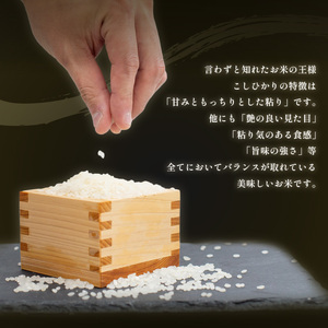 定期便 3回 コシヒカリ 無洗米 5kg 令和6年産 米 こめ ご飯 ごはん おにぎり 白米 精米 新米 無洗米 卵かけご飯 食品 備蓄 備蓄米 保存 防災 ギフト 贈答 プレゼント お取り寄せ グル