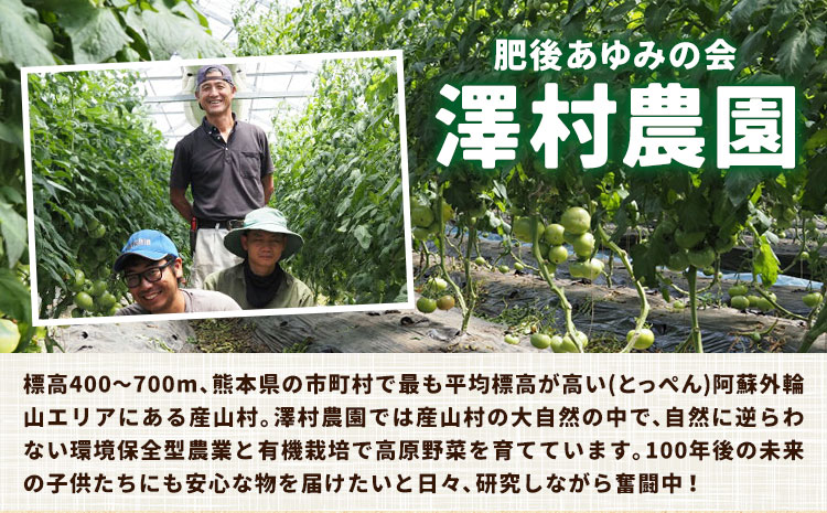 有機JASとっぺんトマト 約4kg 《7月上旬-8月下旬頃出荷》旬 お取り寄せ 詰め合わせ 贈答 ギフト お中元 お歳暮 熊本 阿蘇 産山村 送料無料 トマト 無農薬 有機---ubuyama_swm