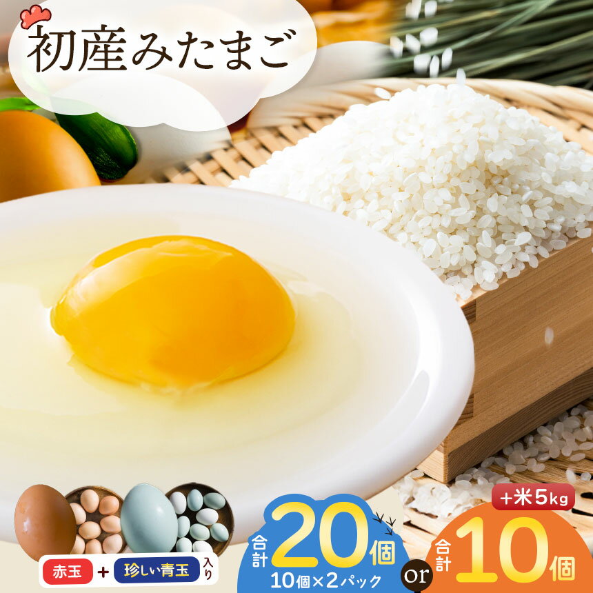 【ふるさと納税】 初産みたまごのセット【選べるセット内容】たまご10個×2パック or 初産みたまご 10個とお米 約5kg | 生卵 たまご 玉子 鶏卵 初産みたまご 卵かけご飯 朝ごはん 玉子焼き 人気 長野県 塩尻市