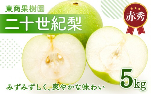 東商果樹園 二十世紀梨 (赤秀) 5kg【8月下旬以降お届け】