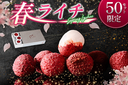 ライチ 4/20～4/28 期間内出荷 モリノライチ 果物 フルーツ S30