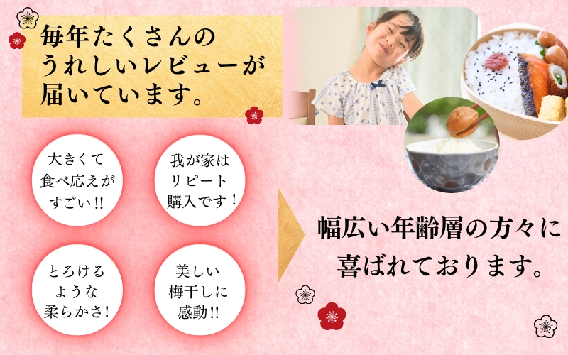 最高級紀州南高梅・大粒はちみつ梅干し 1.4kg【ご家庭用】【inm100A】 / 梅干し 梅 はちみつ梅 南高梅 うめぼし 高級 はちみつ 蜂蜜 和歌山