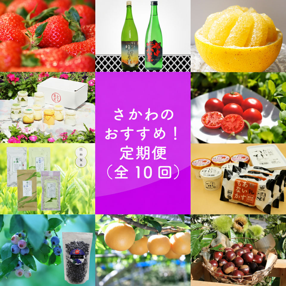 【ふるさと納税】＜佐川のおすすめ！定期便（全10回）＞日本酒 いちご 文旦 フルーツトマト 煎茶 司牡丹酒造 プリン 地乳 シャーベット 和梨 梨 和栗 ぢちち アイス 苺 夢甘栗 高知県 新高梨 あきづき 栗 朝ドラらんまんモデル 牧野富太郎のふるさと佐川町から直送
