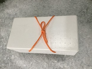 訳ありボイル松葉ガニ２枚セット訳あり かに カニ 蟹 訳ありボイル 新鮮 かに カニ 蟹 松葉ガニ 松葉がに かに カニ 蟹 ボイル訳あり かに 松葉がに 冷蔵 ズワイガニ カニ爪【魚倉】