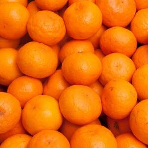 プレミアム 有田みかん1kg+250g(傷み補償分)【光センサー選果】【配送不可地域：離島・北海道・沖縄県】【1625359】
