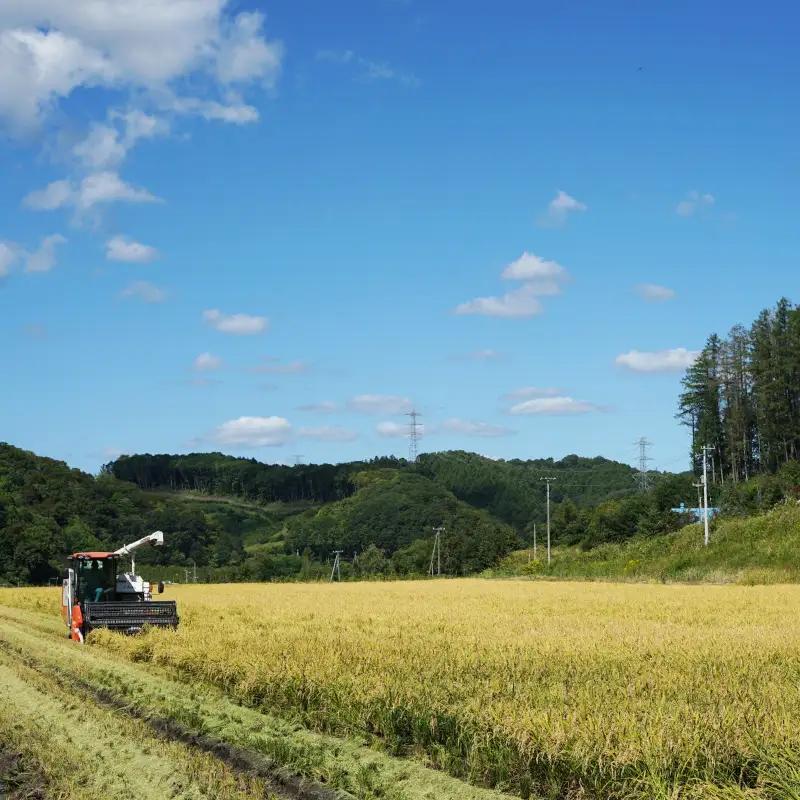 【お米定期便】特Aランクななつぼし5kg×6ヶ月（精米）北海道米 栗山町産