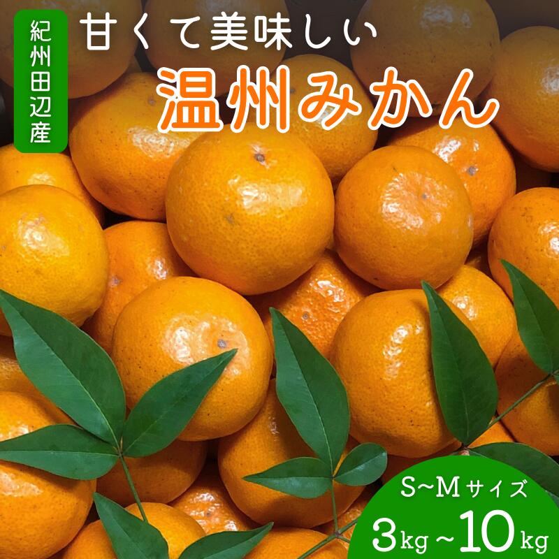 【ふるさと納税】 みかん 紀州田辺産 甘くて美味しい温州みかん（S～Mサイズ）【選べる 3kg 5kg 10kg ※箱込み】※2025年11月中旬～12月下旬頃に順次発送予定【先行予約・期間限定・12/10まで】 / ミカン 早生みかん 早生 柑橘 フルーツ 果物 紀州産 和歌山県