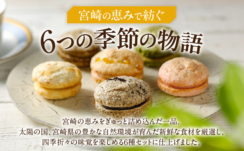 Dolce-Do ドルチェード 6種セット_M319-008