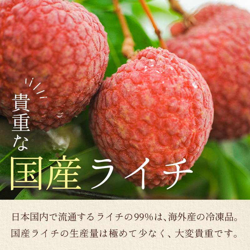 宮崎県産 生ライチ「至高の紅玉」計600g ≪2026年6月下旬～発送≫ 人気 国産 希少 果物 旬 ギフト プレゼント【C453】