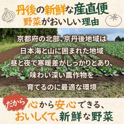 ふるさと納税 京丹後市 京都 京丹後の旬を味わう!季節の彩り、採れたて野菜5〜8種セット(小)京丹後の旬をお楽しみ |  | 01