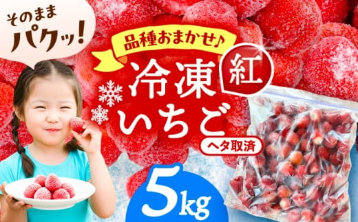 【5kg】 冷凍苺 果物 フルーツ 紅ほっぺ 愛西市 / くぼ苺農園 【配達不可：離島】 [AECJ027]