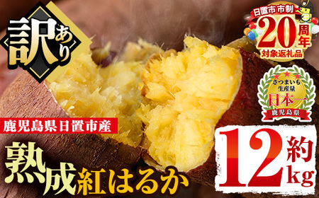 No.560-B ＜訳あり・不揃い＞鹿児島県日置市産さつまいも！熟成紅はるか(約12kg) 国産 九州産 サツマイモ さつま芋 訳アリ 紅春香 熟成 芋 焼き芋 やきいも 野菜 スイーツ 常温 常温保存【末永商店】